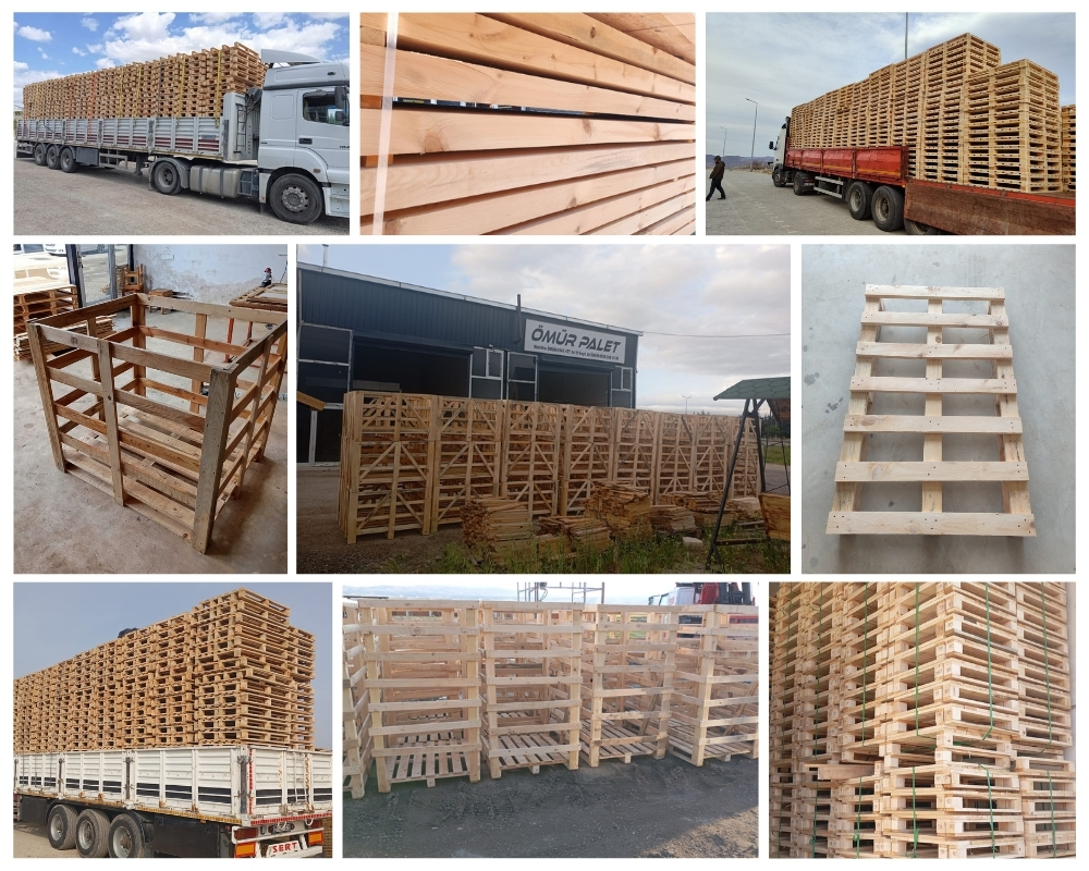 Bastia Palette Europe, Acheter des palettes en gros